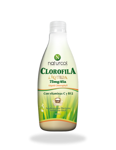 Clorofila